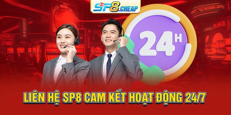 Liên hệ SP8 cam kết hoạt động 24/7 