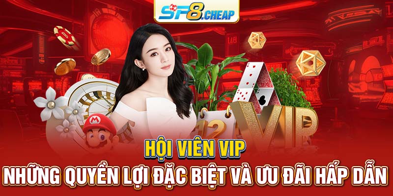 Hội Viên VIP | Những Quyền Lợi Đặc Biệt Và Ưu Đãi Hấp Dẫn